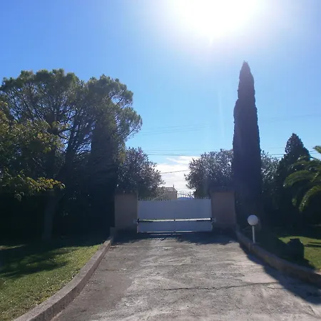 Bed & Breakfast Les Palmiers 2*