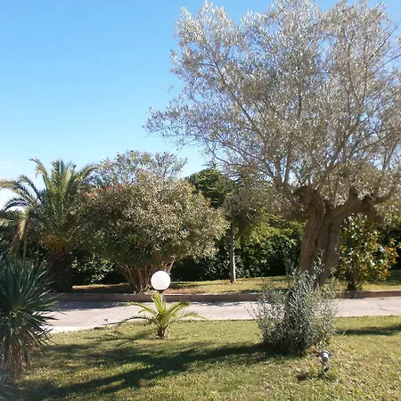 Bed & Breakfast Les Palmiers Le Muy