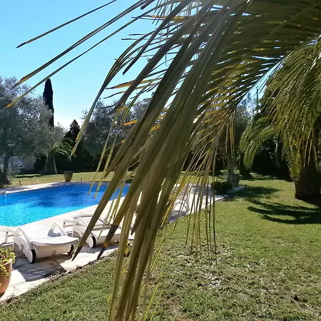 Bed & Breakfast Les Palmiers